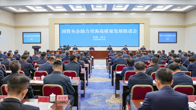 王幼军出席国资央企助力青海高质量发展推动会